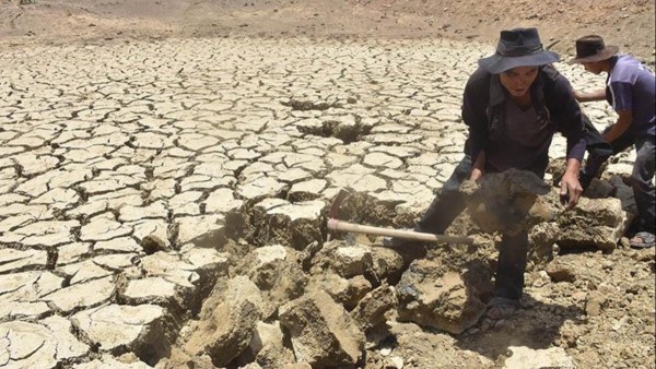 Una parcela de tierra en Aiquile en el Cono Sur afectado por la sequía. Foto: Los Tiempos