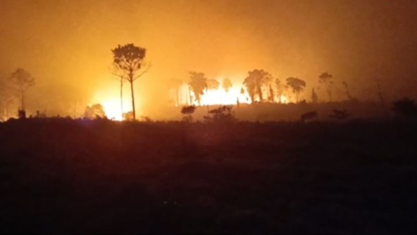 El municipio de Entre Ríos de Cochabamba resultó afectado por los incendios. Foto: Captura.