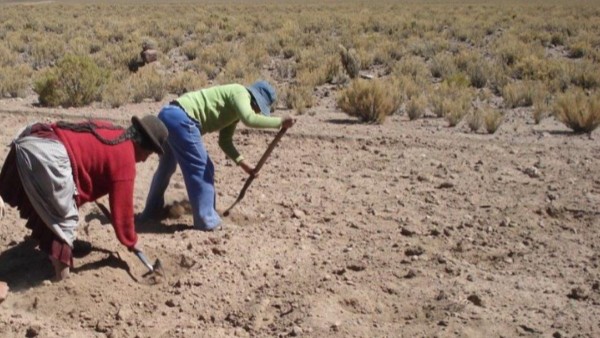 Foto: Boliviaenergíalibre