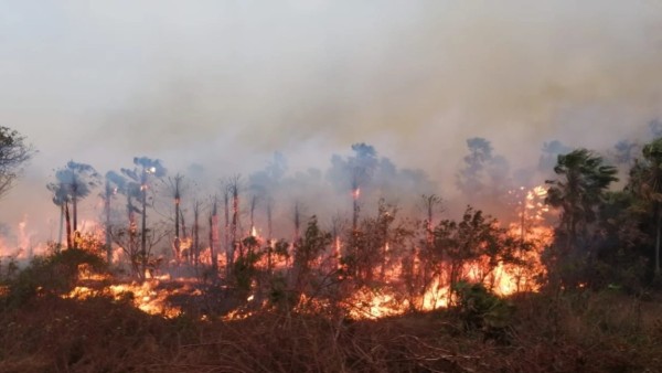 Imagen referencial de un incendio forestal. Foto: Archivo/Fundación Solón