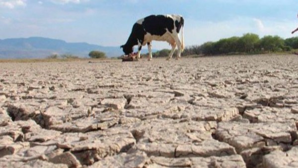 imagen referencial. Foto: El Diario