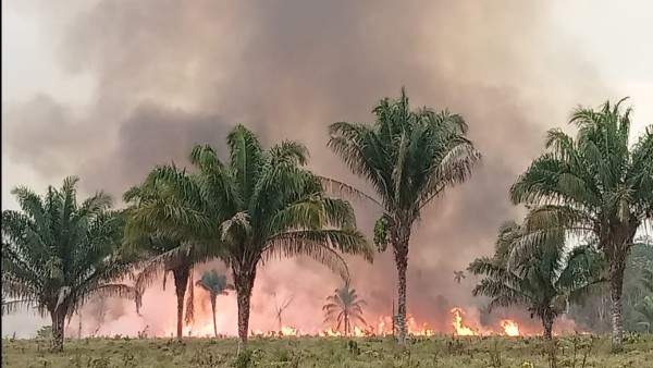 Los incendios amenazan al Parque Nacional Madidi. Foto: Alcaldía de San Buenaventura