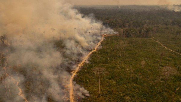 Un incendio en la Amazonía.