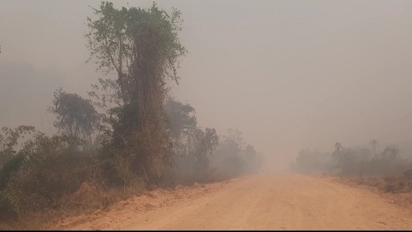Densa humareda en Ixiamas a causa de los incendios forestales. Foto: RRSS