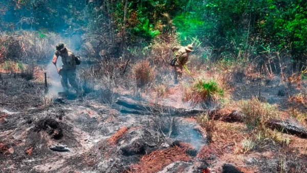 Militares combatiendo el fuego. Foto: Ministerio de Defensa