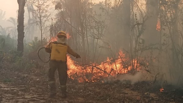 Un bombero forestal intenta sofocar el fuego que se registró en San Buenaventura. Foto: Alcaldía San Buenaventura