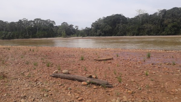 Un sector del río Tuichi que atraviesa el Madidi y donde existe actividad minera ilegal. Foto: