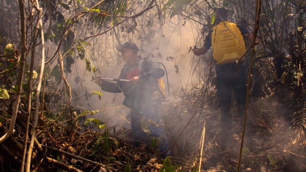 Voluntarios combaten el fuego en una zona de Rurrenabaque. Foto: GAM Rurrenabaque