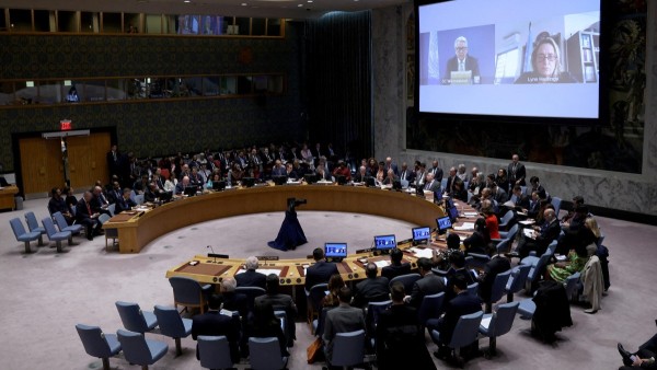 El Consejo de Seguridad de Naciones Unidas.