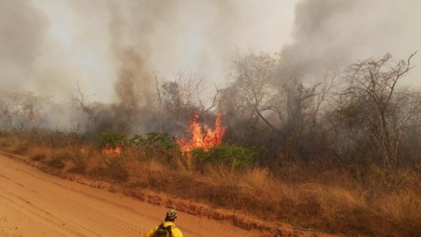 Un incendio registrado en el oriente boliviano.