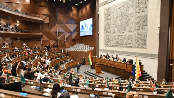 Cámara de Diputados. Foto: ABI