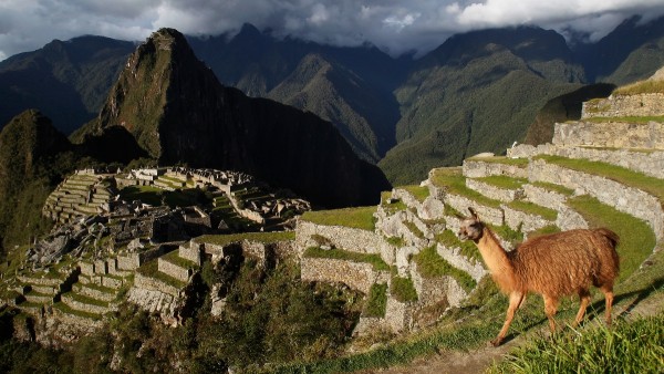 Machu Picchu en Perú.   Foto: ENRIQUE CASTRO-MENDIVIL / REU