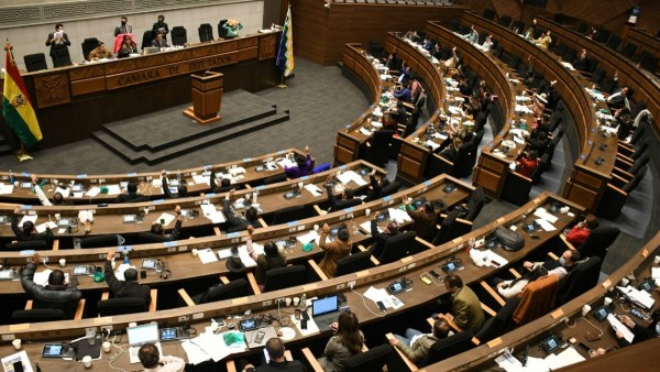 La Cámara de Diputados. Foto: CD
