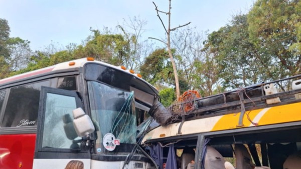 Los buses que protagonizaron el trágico accidente.