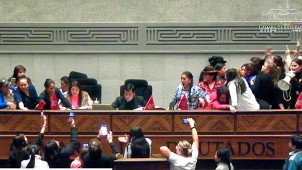 Peleas en la Cámara de Diputados. Foto: Captura