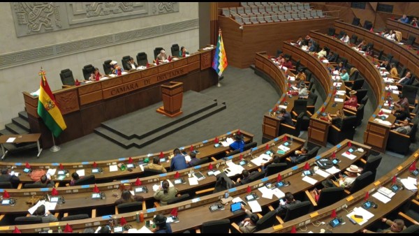 Sesión de la Cámara de Diputados. Foto: ANF