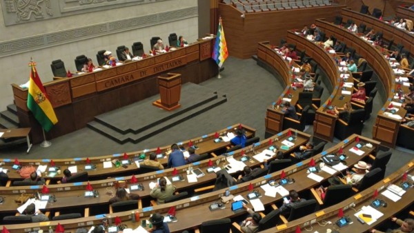 Sesión de la Cámara de Diputados. Foto: ANF
