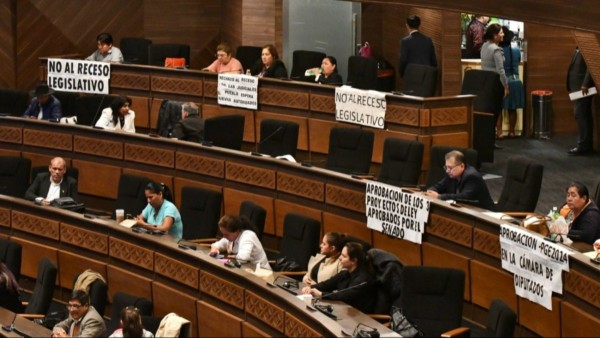 Sesión del Senado en pleno receso legislativo. Foto: Internet.