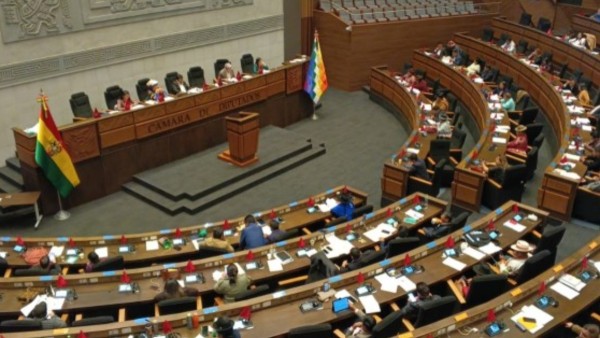 Una sesión de la Cámara de Diputados. Foto: ANF