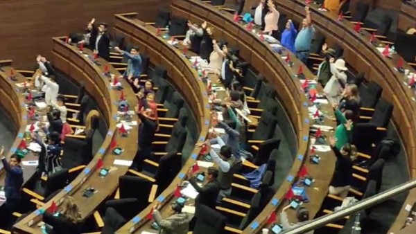 Votación de los legisladores para aprobar la convocatoria de preselección. Foto: ANF