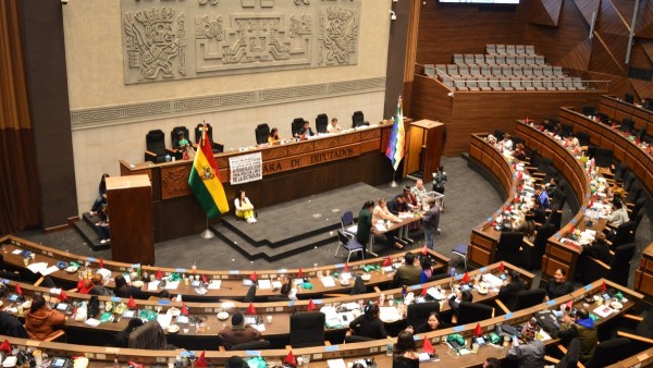 Sesión de la Cámara de Diputados. Foto: RRSS