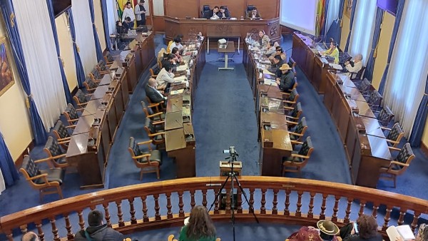 Sesión de la comisión mixta de Constitución. Foto: ANF