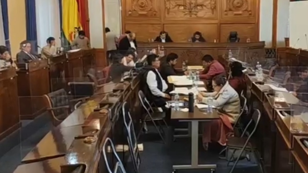 Comisión Mixta de Constitución analizando los recursos de revisión.