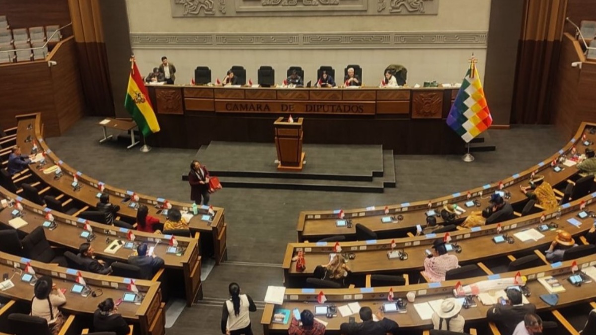 Sesión del pleno de la Cámara de Diputados. Foto: RRSS