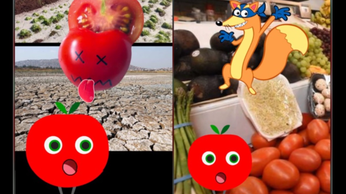 Captura de pantalla del contenido que difundió el Ministerio de Gobierno para explicar la crisis del tomate