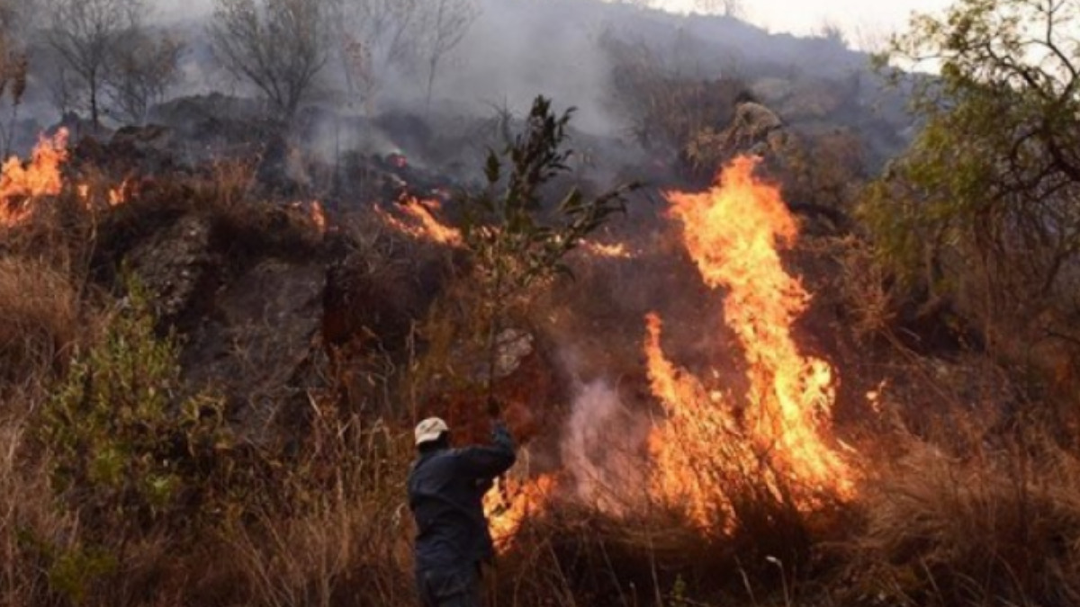 Incendios en áreas protegidas del Beni. Foto: radio Fides