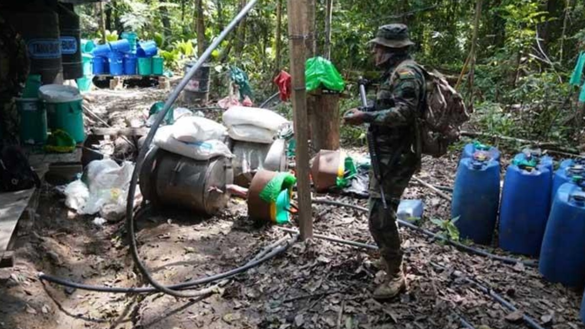 Se incrementó la destrucción de fábricas de cocaína en el Chapare. Foto: Internet