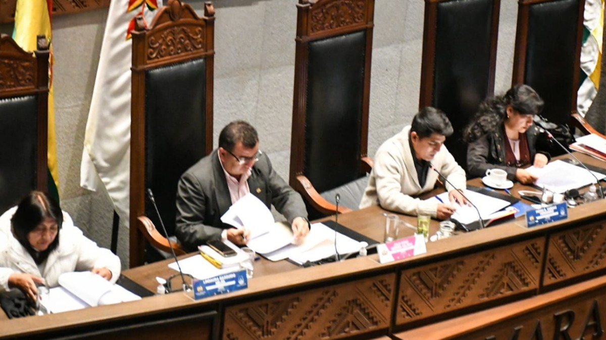 Sesión del pleno de la Cámara de Senadores. Foto: RRSS