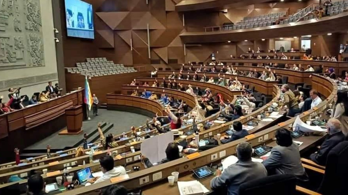 Una sesión anterior de la ALP. Foto: Diputados