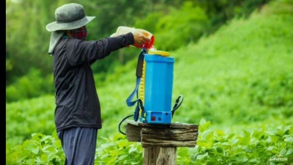 En un poco más de dos décadas, el uso de agroquímicos en Bolivia para una sola hectárea se incrementó en 169%