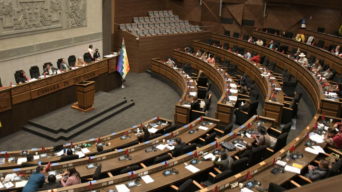 Cámara de Diputados en sesión. Foto: Archivo