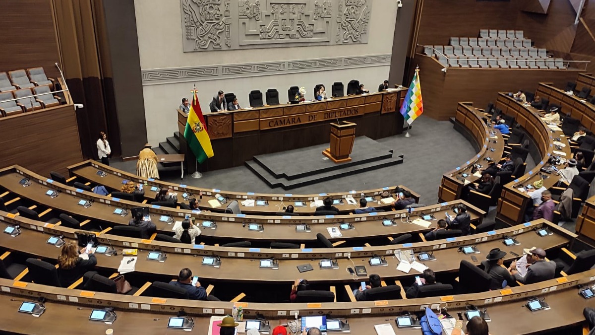 Cámara de Diputados. Foto: ABI