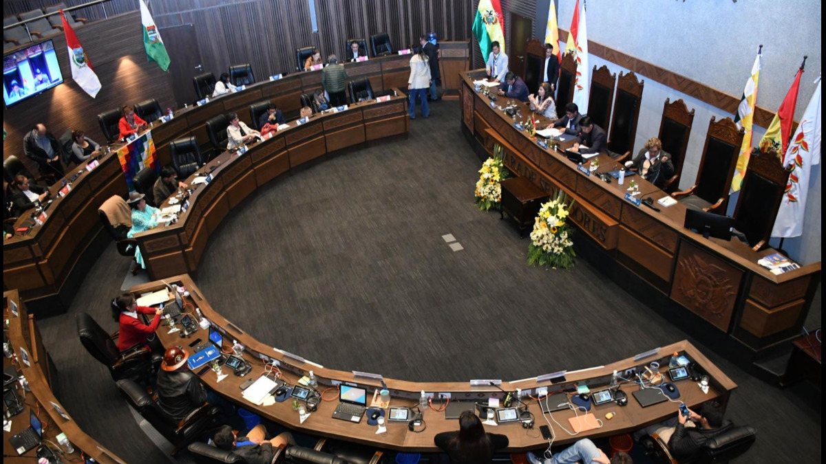 Cámara de Senadores . Foto: Internet