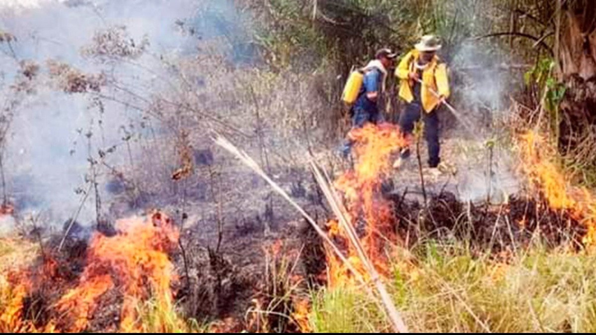 Dos incendios en el departamento de Santa Cruz. Foto: Internet