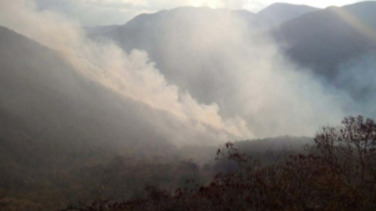 Imagen referencial. Incendios dentro del Parque Madidi.