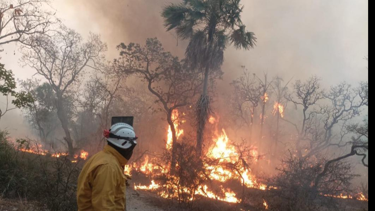 Incendios  en el departamento de Santa Cruz. Foto: Internet