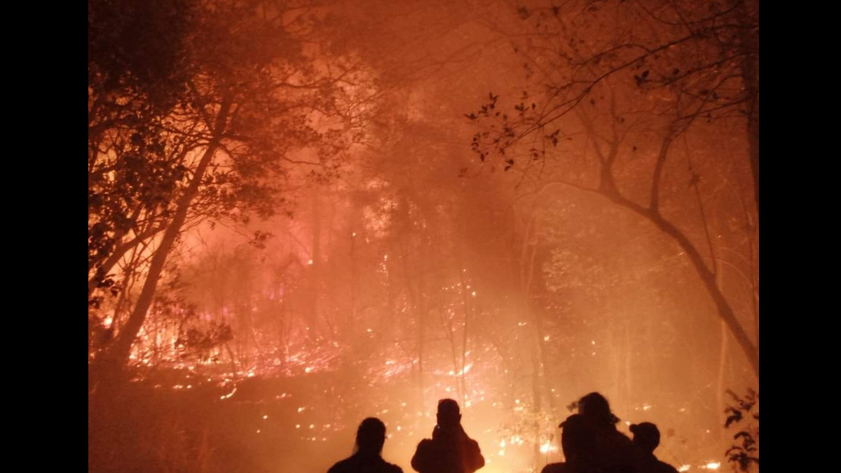 Incendios en Santa Cruz. Foto: Gobernación de