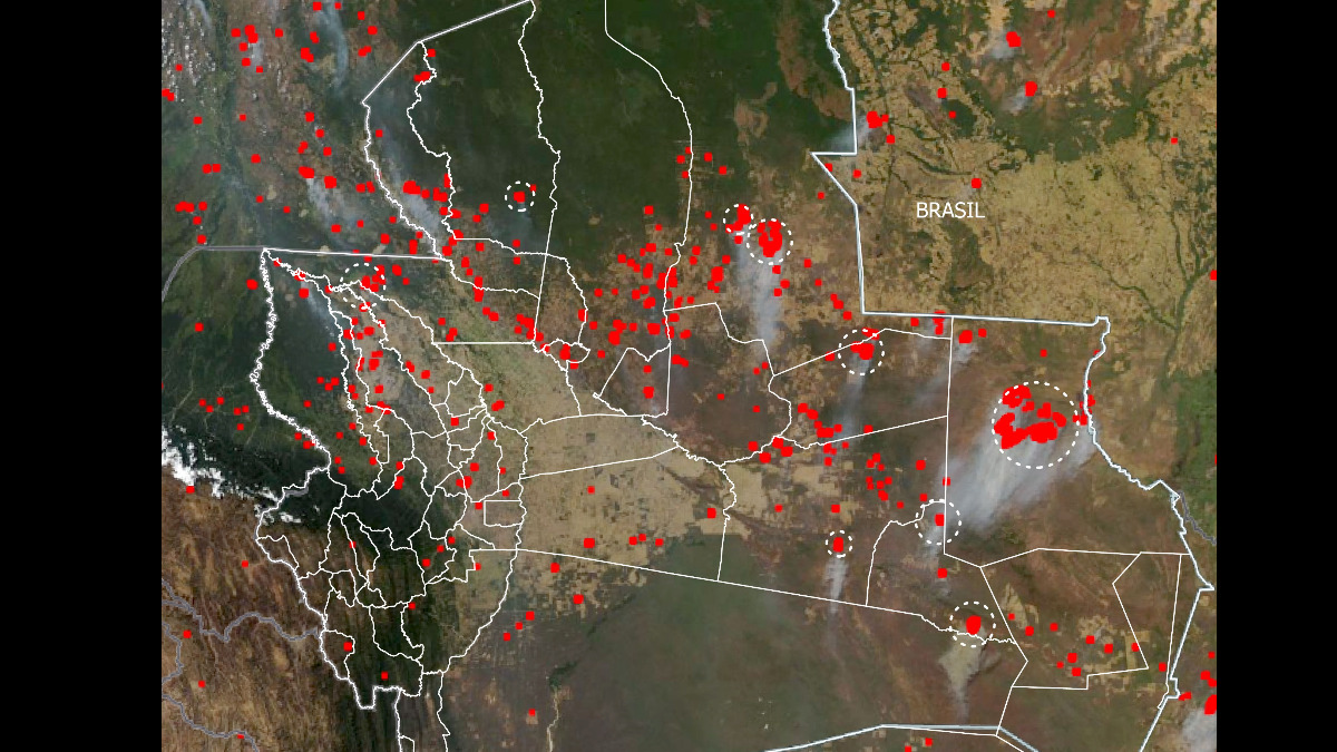 Monitoreo de focos de calor en Bolivia hasta hoy.  Imagen: FCBC.