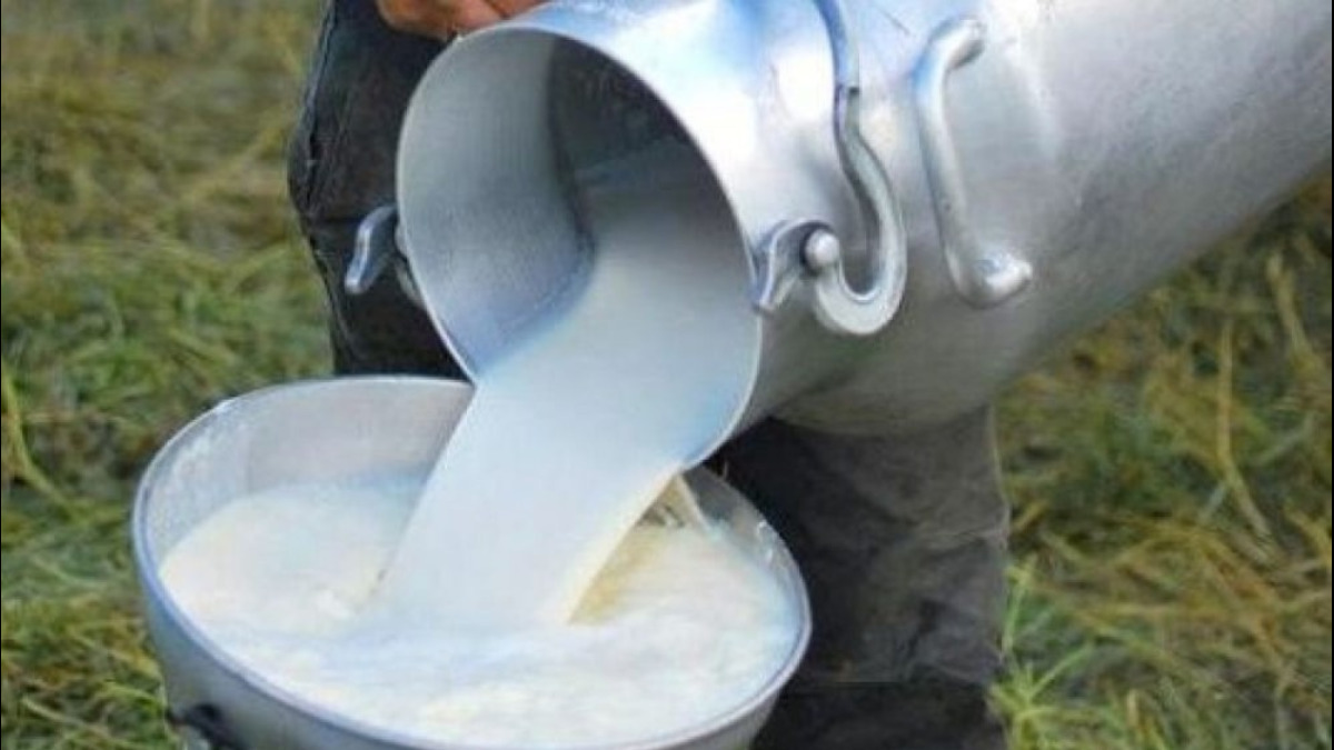 Producción de leche de Santa Cruz. Foto: Internet