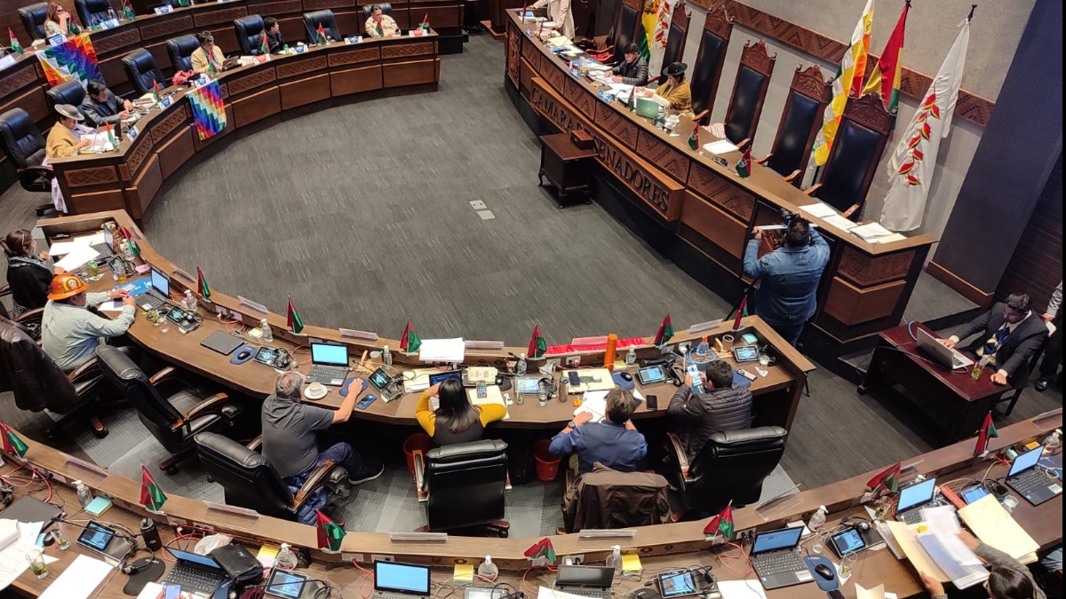 Sesión del pleno del Senado. Foto: ANF