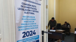 14 candidatas aplazadas fueron preseleccionadas para el TCP, 8 son funcionarias públicas