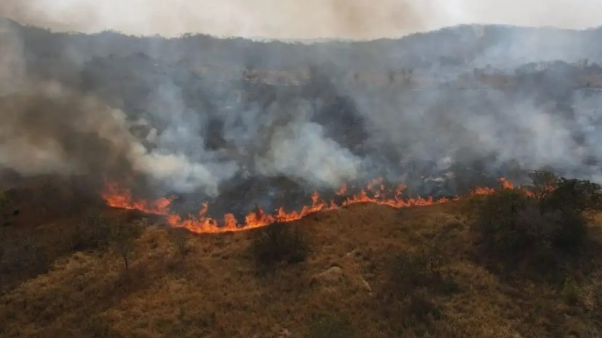 Foto: Gobernación de Santa Cruz