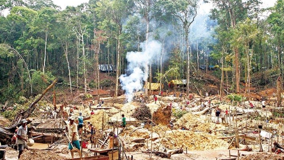 Imagen referencial de deforestación. Foto: Los Tiempos