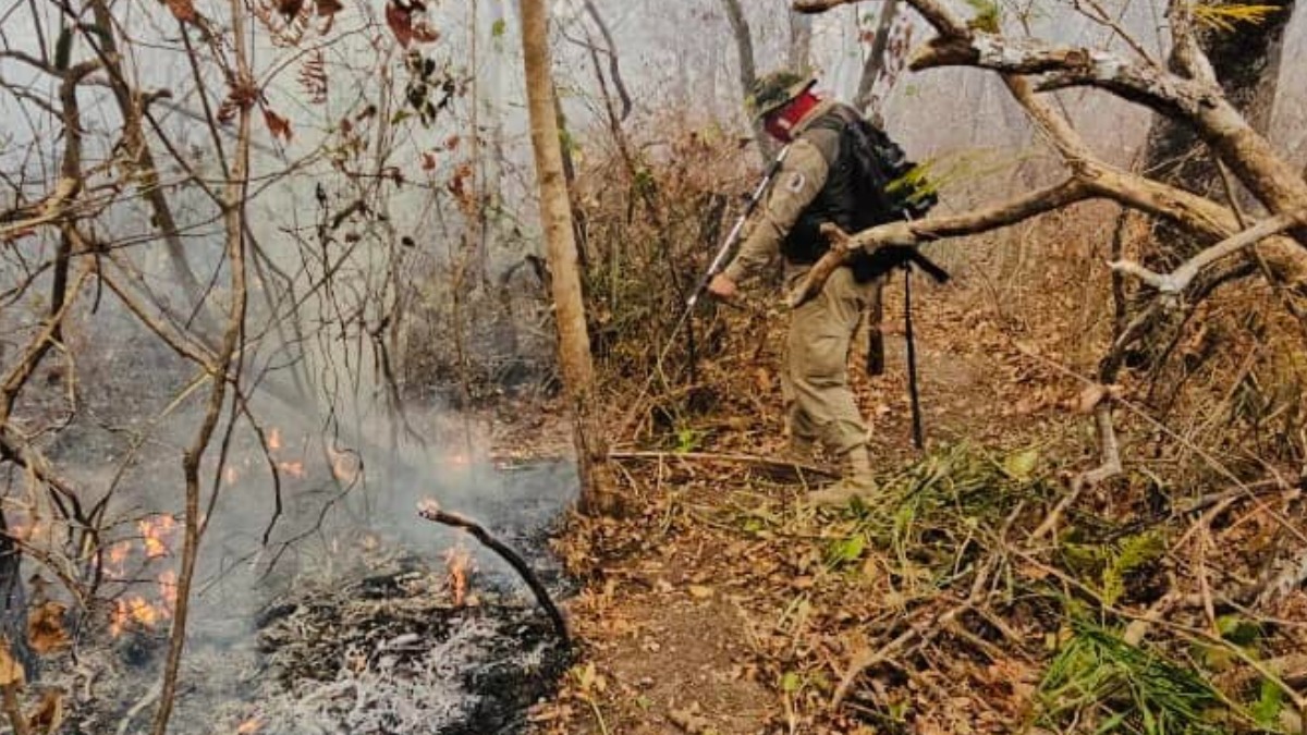 Incendio forestal en San Matías. Foto: Ministerio de Medio Ambiente