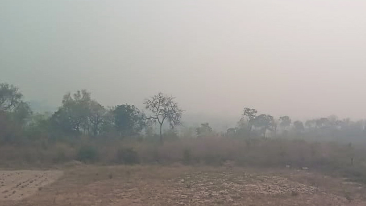 Incendios en el departamento de Santa Cruz. Foto: F. Tierra