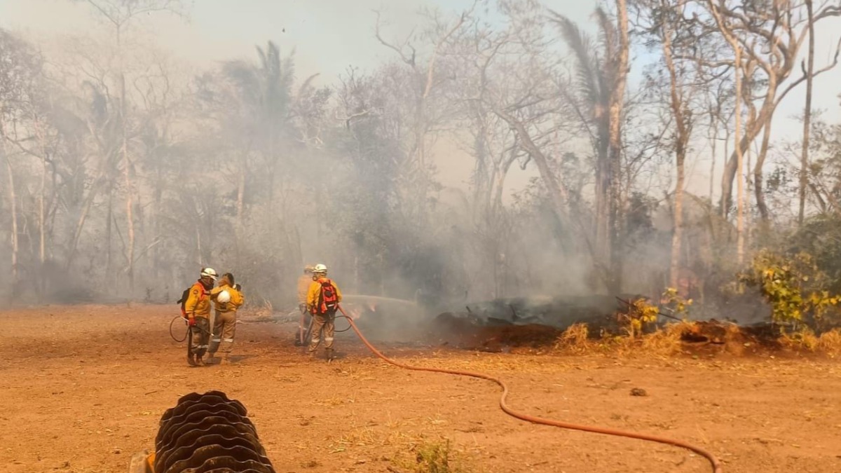 Incendios en el departamento de Santa Cruz. Foto: Internet